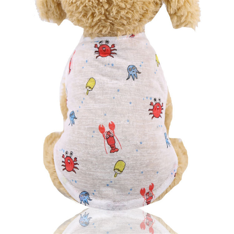 5 Colors Summer Lovely Cartoon - Summer Loving Clothing recensione e prezzo