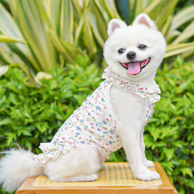 Fashion Floral Dog Dress Dog S - Summer Loving Clothing recensione e prezzo