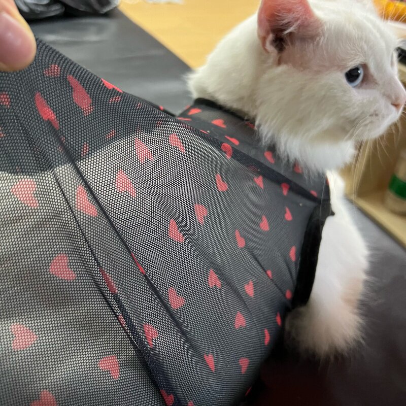 Love Heart Print Summer Pet Ve - Summer Loving Clothing recensione e prezzo