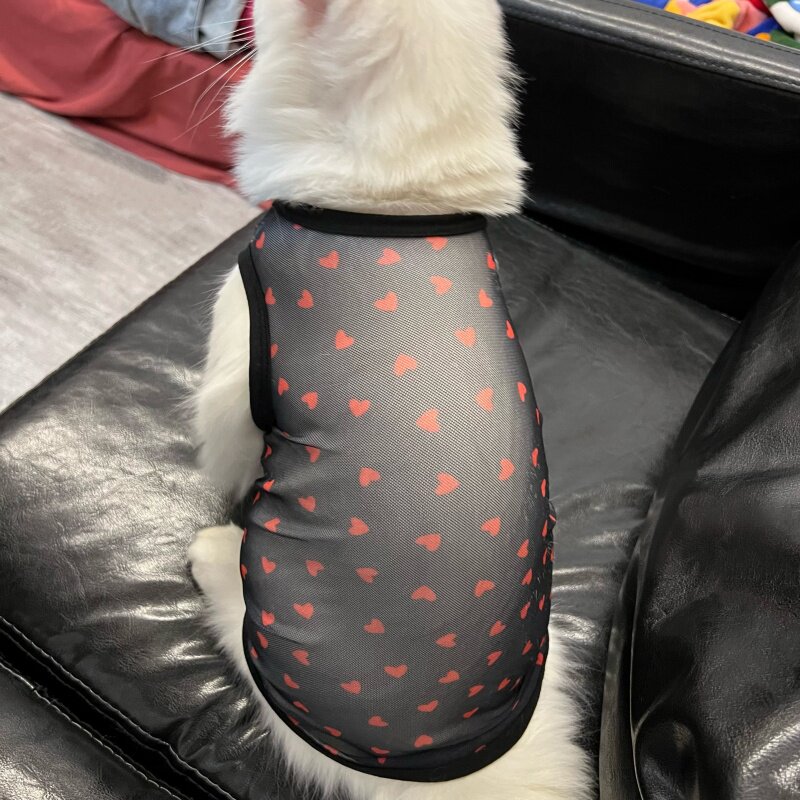 Love Heart Print Summer Pet Ve - Summer Loving Clothing recensione e prezzo