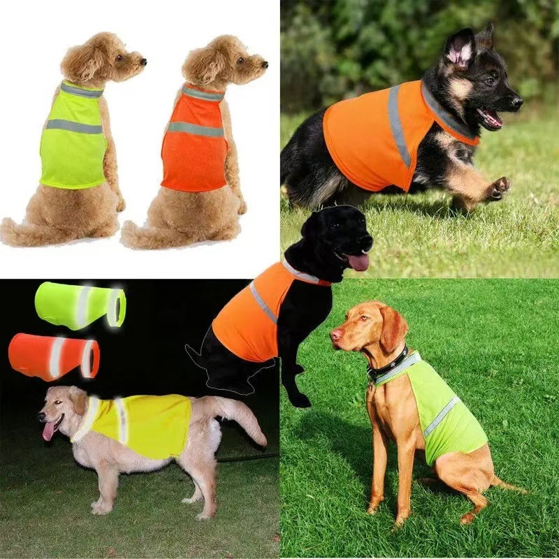 Durable Fluorescent Pink Dog C - Summer Nights Clothing recensione e prezzo
