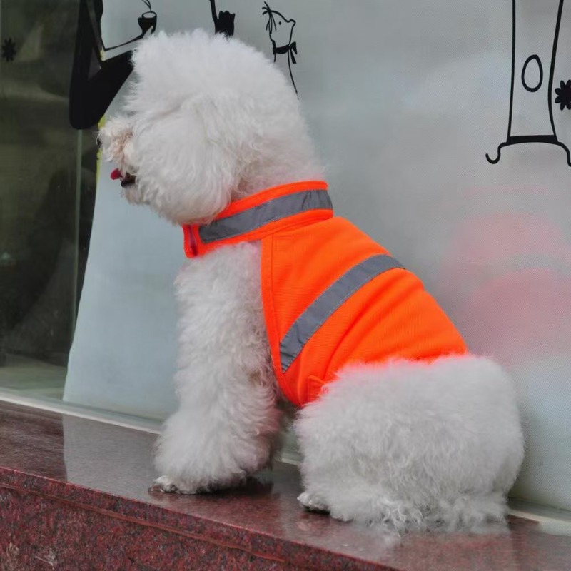 Durable Fluorescent Pink Dog C - Summer Nights Clothing recensione e prezzo