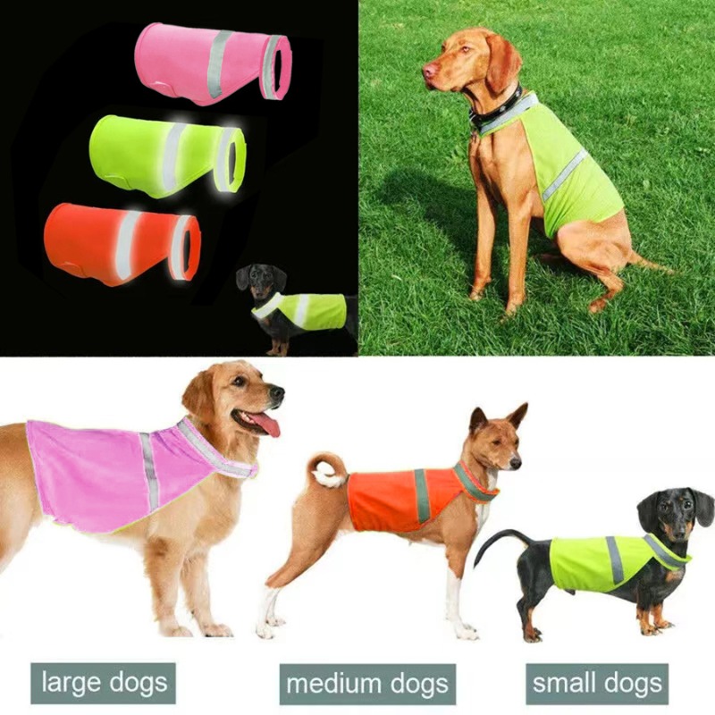 Durable Fluorescent Pink Dog C - Summer Nights Clothing recensione e prezzo