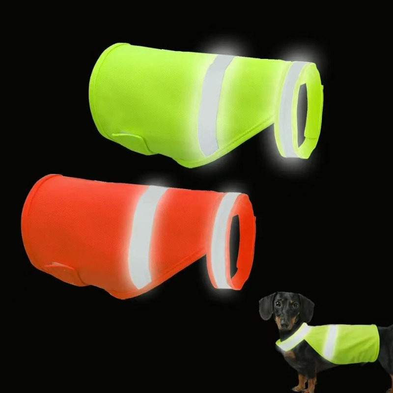 Durable Fluorescent Pink Dog C - Summer Nights Clothing recensione e prezzo